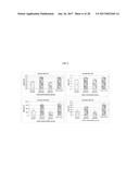 ANTI-A  GLOBULOMER 4D10 ANTIBODIES diagram and image