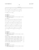 ANTI-A  GLOBULOMER 4D10 ANTIBODIES diagram and image