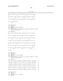 ANTI-A  GLOBULOMER 4D10 ANTIBODIES diagram and image