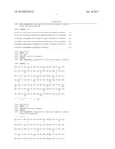 ANTI-A  GLOBULOMER 4D10 ANTIBODIES diagram and image