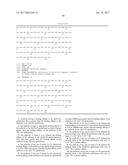 ANTI-A  GLOBULOMER 4D10 ANTIBODIES diagram and image