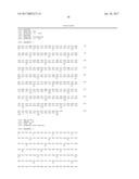 IL-23 ANTIBODIES AND METHODS OF USING THE SAME diagram and image