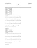 IL-23 ANTIBODIES AND METHODS OF USING THE SAME diagram and image