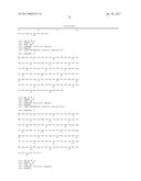 METHOD OF CULTURING PLURIPOTENT STEM CELL, AND POLYPEPTIDE TO BE USED     THEREFOR diagram and image