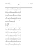 METHOD OF CULTURING PLURIPOTENT STEM CELL, AND POLYPEPTIDE TO BE USED     THEREFOR diagram and image