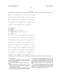 METHOD OF CULTURING PLURIPOTENT STEM CELL, AND POLYPEPTIDE TO BE USED     THEREFOR diagram and image