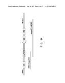 COMPOSITIONS AND METHODS COMPRISING SEQUENCES HAVING MEGANUCLEASE ACTIVITY diagram and image