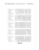 USE AND PRODUCTION OF STORAGE-STABLE NEUTRAL METALLOPROTEASE diagram and image