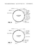 USE AND PRODUCTION OF STORAGE-STABLE NEUTRAL METALLOPROTEASE diagram and image