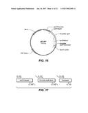 USE AND PRODUCTION OF STORAGE-STABLE NEUTRAL METALLOPROTEASE diagram and image