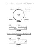 USE AND PRODUCTION OF STORAGE-STABLE NEUTRAL METALLOPROTEASE diagram and image