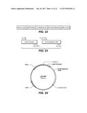 USE AND PRODUCTION OF STORAGE-STABLE NEUTRAL METALLOPROTEASE diagram and image