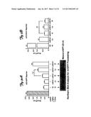 REDUCTION OF OFF-TARGET RNA INTERFERENCE TOXICITY diagram and image