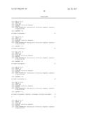 REDUCTION OF OFF-TARGET RNA INTERFERENCE TOXICITY diagram and image