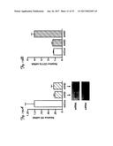 REDUCTION OF OFF-TARGET RNA INTERFERENCE TOXICITY diagram and image