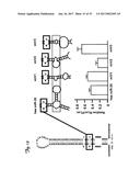 REDUCTION OF OFF-TARGET RNA INTERFERENCE TOXICITY diagram and image