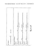 REDUCTION OF OFF-TARGET RNA INTERFERENCE TOXICITY diagram and image