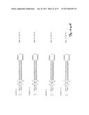 REDUCTION OF OFF-TARGET RNA INTERFERENCE TOXICITY diagram and image