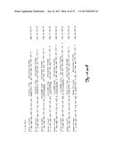 REDUCTION OF OFF-TARGET RNA INTERFERENCE TOXICITY diagram and image