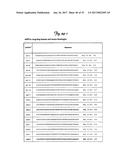 REDUCTION OF OFF-TARGET RNA INTERFERENCE TOXICITY diagram and image