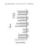 REDUCTION OF OFF-TARGET RNA INTERFERENCE TOXICITY diagram and image