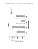 REDUCTION OF OFF-TARGET RNA INTERFERENCE TOXICITY diagram and image