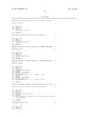 REDUCTION OF OFF-TARGET RNA INTERFERENCE TOXICITY diagram and image