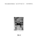 PROCESSING BIOMASS diagram and image