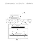 AMPLIFICATION AND DETECTION OF NUCLEIC ACIDS diagram and image