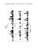 BIOMARKER PAIRS FOR PREDICTING PRETERM BIRTH diagram and image