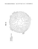 BIOMARKER PAIRS FOR PREDICTING PRETERM BIRTH diagram and image