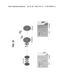 BIOMARKER PAIRS FOR PREDICTING PRETERM BIRTH diagram and image