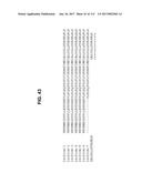 BIOMARKER PAIRS FOR PREDICTING PRETERM BIRTH diagram and image