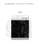 BIOMARKER PAIRS FOR PREDICTING PRETERM BIRTH diagram and image