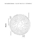 BIOMARKER PAIRS FOR PREDICTING PRETERM BIRTH diagram and image