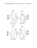 BIOMARKER PAIRS FOR PREDICTING PRETERM BIRTH diagram and image