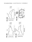 BIOMARKER PAIRS FOR PREDICTING PRETERM BIRTH diagram and image