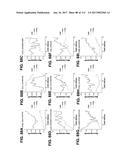 BIOMARKER PAIRS FOR PREDICTING PRETERM BIRTH diagram and image