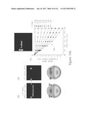 METROLOGY TARGET DESIGN FOR TILTED DEVICE DESIGNS diagram and image