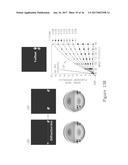 METROLOGY TARGET DESIGN FOR TILTED DEVICE DESIGNS diagram and image