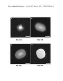 CONTROLLING TRANSLOCATION THROUGH NANOPORES WITH FLUID WALLS diagram and image