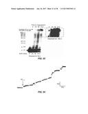 CONTROLLING TRANSLOCATION THROUGH NANOPORES WITH FLUID WALLS diagram and image