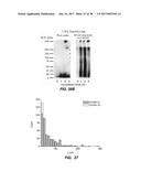 CONTROLLING TRANSLOCATION THROUGH NANOPORES WITH FLUID WALLS diagram and image