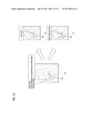 MOBILE TERMINAL AND CONTROLLING METHOD THEREOF diagram and image