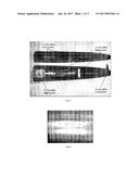 ELECTRICAL, PLATING AND CATALYTIC USES OF METAL NANOMATERIAL COMPOSITIONS diagram and image