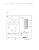 Neuroprotective Chemicals and Methods for Identifying and Using Same diagram and image