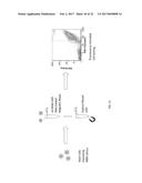 Characterization and Directed Evolution of a Methyl Binding Domain Protein     for High-Sensitivity DNA Methylation Analysis diagram and image