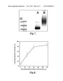 STIMULI-RESPONSIVE POLYMER DIAGNOSTIC ASSAY COMPRISING MAGNETIC     NANOPARTICLES AND CAPTURE CONJUGATES diagram and image