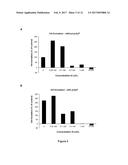 COMPOSITION FOR PROPHYLAXIS AND TREATMENT OF BONE DISORDERS diagram and image