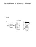 REGULATORY T-CELLS FOR USE IN THE TREATMENT OF INFLAMMATORY DISORDERS OF     THE HUMAN GASTROINTESTINAL TRACT diagram and image